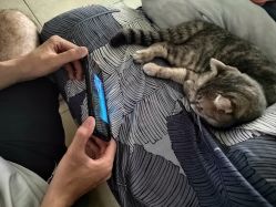 -藤野造型专业烫染接发