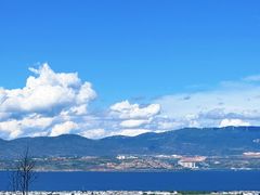 -瑞丰园庭院餐厅·白族传统家常菜