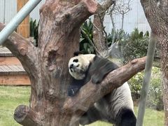-无锡动物园·太湖欢乐园