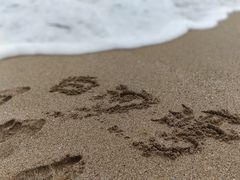 -白沙湾海滩