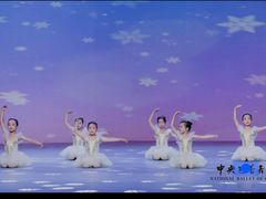 -中央芭蕾舞团·中芭艺蕾(酒仙桥明星校区)