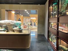 -帕帕拉兹宠物(亚洲旗舰店)