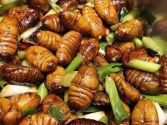 炒蚕蛹-日丰园海肠水饺·老字号大连海鲜(和平广场店)
