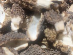 -菌之家·专业纯野生菌火锅·特色炒菌