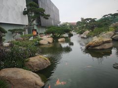 -罗红摄影艺术馆