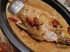 -辛香味烧鱼馆·非遗技艺·排骨红烧肉(光谷医药园店)