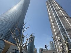 -上海中心大厦