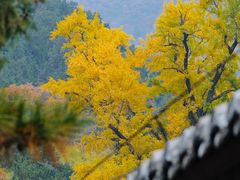 -潭柘寺景区