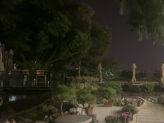 -蘇河湾·新鲁菜·泰山宴(泰山店)