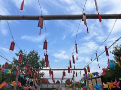 -北京西山国家森林公园