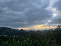 -梧桐山风景名胜区