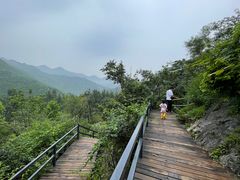 -幽岚山·童话森林