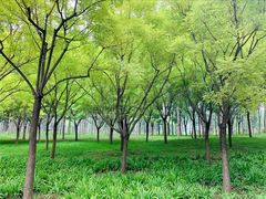 -东郊湿地公园