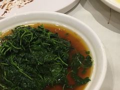 -皇朝尊会(龙之梦大酒店)