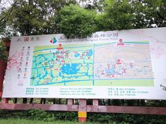 -上海海湾国家森林公园