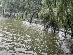 -济南国际园博园