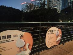 -九龙公园