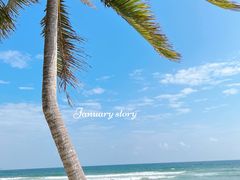 -海南清水湾莱佛士酒店