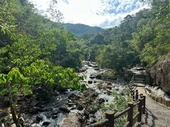 -广州白江湖森林公园