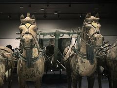 -秦始皇帝陵博物院-丽山园