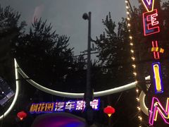 -枫花园汽车电影院(朝阳公园店)