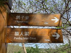 -周口店北京人遗址公园