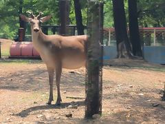 -秦皇岛野生动物园