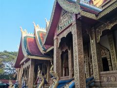 -西双版纳勐泐文化旅游区