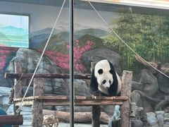 -武汉动物园