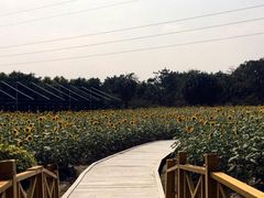 -广东花都香草世界旅游度假区