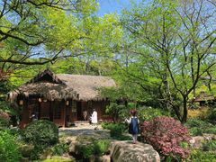 -中国茶叶博物馆(双峰馆区)