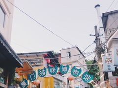 景点-猫咪博物馆(顶澳仔猫街店)