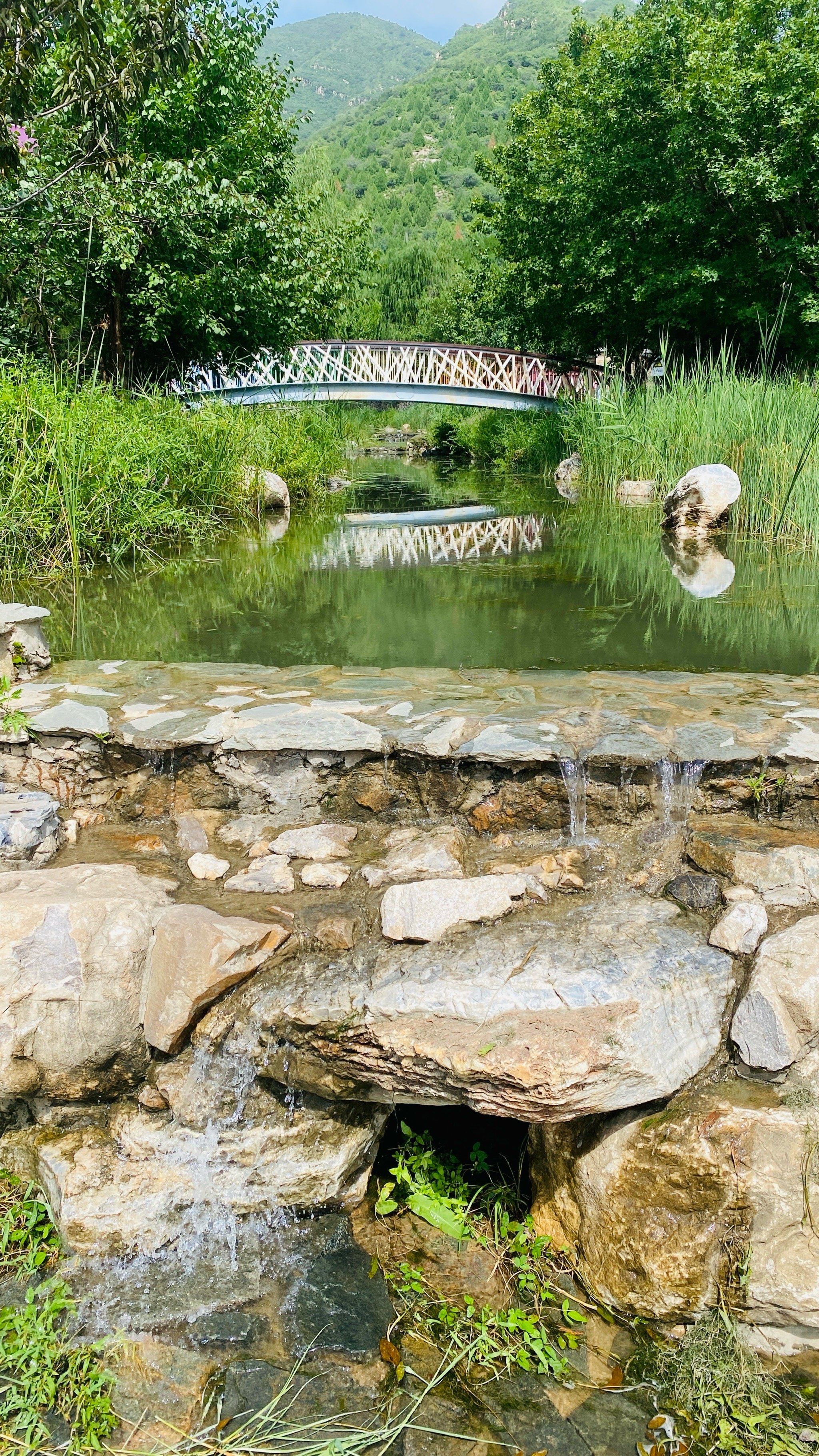 杏花沟公园 | 公园美景赏心悦