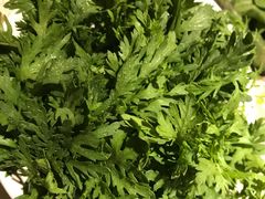 -一叶一世界•素食餐厅(环球中心店)