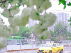 -大龙山(地铁站)