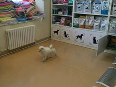 -瑞派·关忠动物医院(国瑞店)