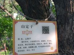 -碑林公园