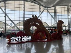 -广州白云国际机场-T2航站楼