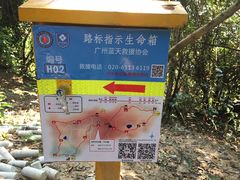 -火炉山森林公园
