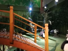 -成都泰迪熊博物馆