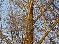 -辽东学院(南校区)