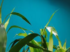 -梨园照相馆(北京店)