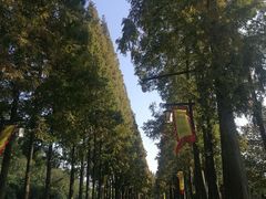 -青城山