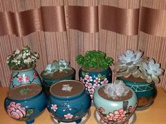-昆明南亚风情园豪生大酒店-泰式国际海鲜自助餐厅