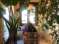 大堂-萤火虫咖啡(后海店)
