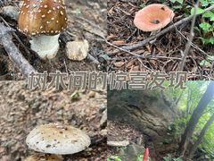 -北京密云天门山风景区
