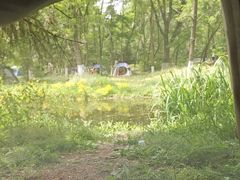 -长白岛森林公园