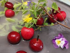-观宴中餐厅
