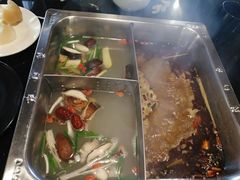 -陈阿婆重庆绿色鱼火锅