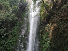 -莫里热带雨林景区
